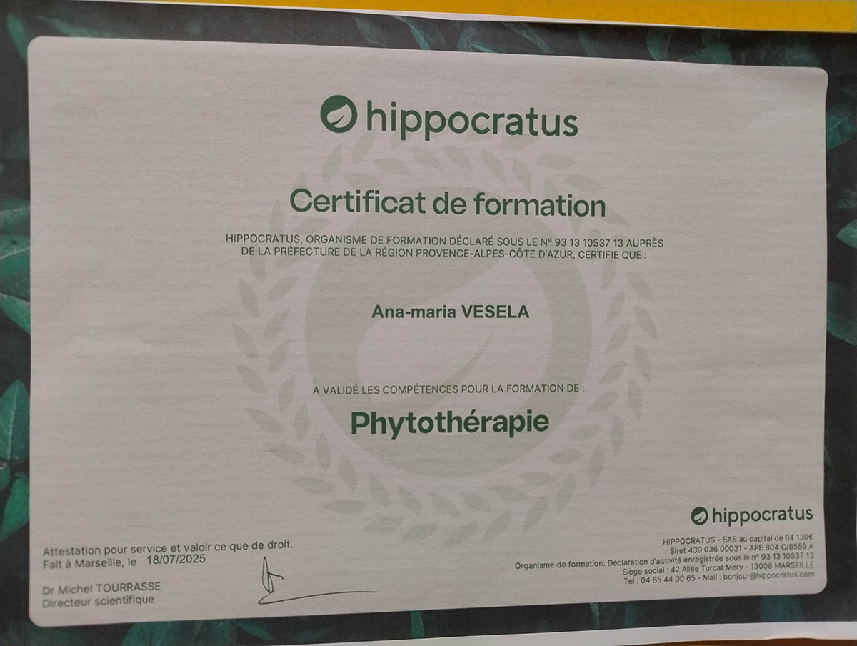 Diplôme de formation de Vesela Ana-Maria — Maître Reiki